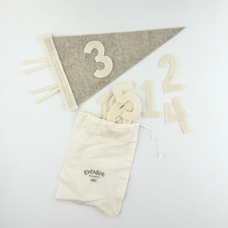 Monthly Milestone Pennant // beige with cream, block numbers